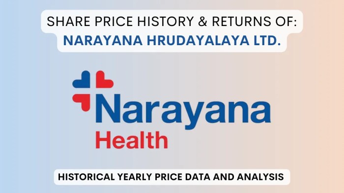 Narayana Hrudayalaya Share Price History (2016 To 2025)