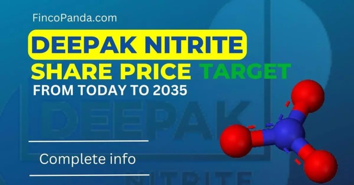 Deepak Nitrite Share Price Target 2024, 2025, 2027, 2030, 2035 (Long ...